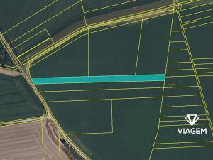 Prodej podílu pole, Lužec nad Cidlinou, 1110 m2