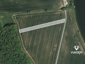 Prodej podílu lesa, Bělov, 964 m2