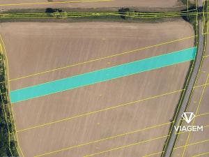 Prodej podílu lesa, Bělov, 964 m2