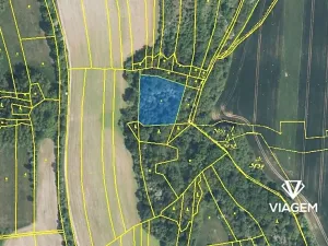 Prodej podílu lesa, Kudlovice, 4108 m2