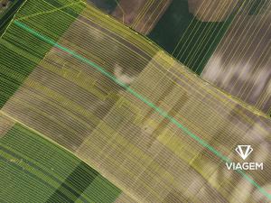 Prodej podílu pole, Šitbořice, 1069 m2