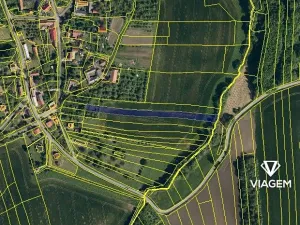 Prodej podílu pole, Dolní Těšice, 1820 m2