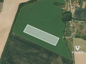 Prodej podílu pole, Boharyně, 5028 m2