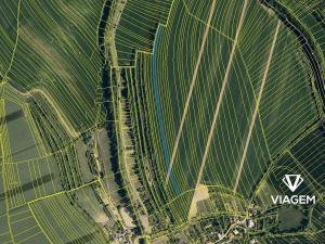 Prodej podílu pole, Zdounky, 557 m2