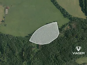 Prodej podílu lesa, Čím, 13775 m2