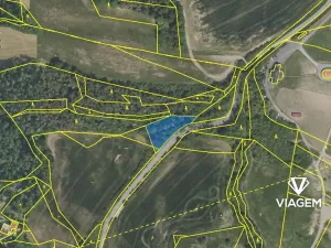 Prodej podílu lesa, Čím, 803 m2