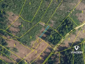 Prodej podílu lesa, Železný Brod, 27889 m2