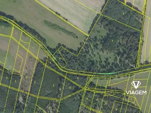 Prodej podílu lesa, Sokoleč, 1999 m2