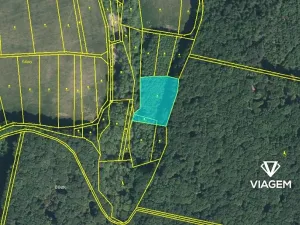 Prodej podílu lesa, Žlutava, 2234 m2
