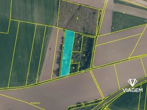 Prodej podílu zahrady, Ctiněves, 3205 m2