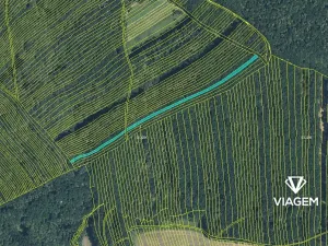 Prodej podílu lesa, Mistřice, 1097 m2