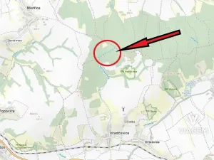 Prodej podílu lesa, Mistřice, 1097 m2