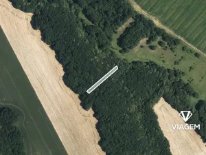 Prodej podílu lesa, Popovice, 736 m2