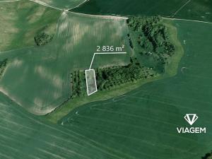 Prodej zahrady, Bošovice, 2836 m2