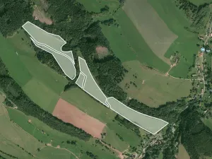 Prodej podílu pole, Stárkov, 12888 m2