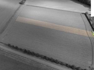 Prodej pozemku pro bydlení, Heřmanův Městec, 3671 m2