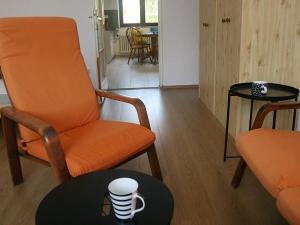 Pronájem bytu 2+kk, Hradec Králové, Karla Čapka, 50 m2