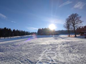 Prodej rodinného domu, Stachy, 255 m2