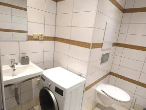 Pronájem bytu 1+kk, Ústí nad Labem, Obvodová, 32 m2