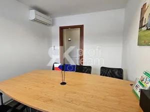 Prodej komerční nemovitosti, Opava, Slezská, 1385 m2