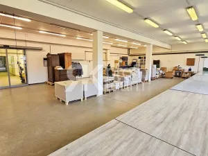 Prodej komerční nemovitosti, Opava, Slezská, 1385 m2