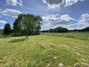 Dražba pozemku pro bydlení, Slavonice, 1609 m2