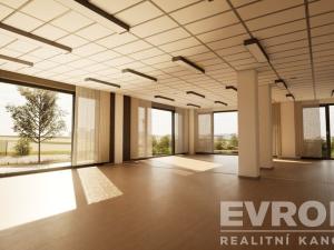 Pronájem kanceláře, Praha - Ruzyně, Pilotů, 102 m2