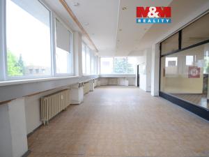 Pronájem obchodního prostoru, Rychnov nad Kněžnou, Havlíčkova, 55 m2