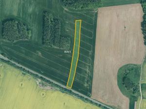 Prodej pole, Přešťovice, 64261 m2