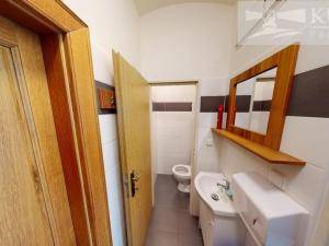 Pronájem obchodního prostoru, Příbram, Střelecká, 44 m2