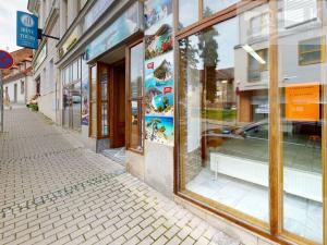 Pronájem obchodního prostoru, Příbram, Střelecká, 44 m2