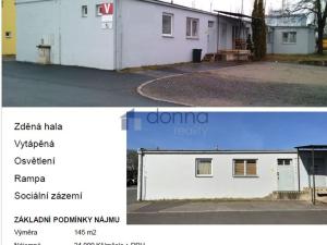 Pronájem skladu, Praha, Ve žlíbku, 145 m2