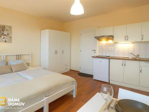 Pronájem bytu 1+kk, Zlín - Prštné, L. Váchy, 24 m2