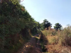 Prodej louky, Traplice, 4459 m2