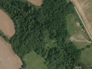 Prodej louky, Traplice, 4459 m2