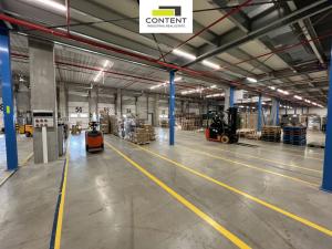 Pronájem výrobních prostor, Kozomín, 7600 m2