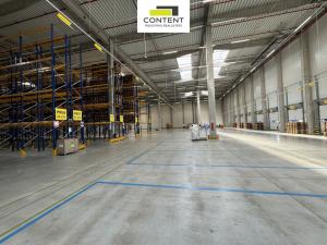 Pronájem výrobních prostor, Hladké Životice, Kujavská, 9000 m2