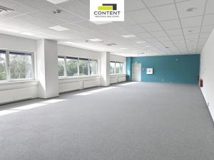 Pronájem skladu, Klatovy - Klatovy II, Schiffauerova, 14160 m2