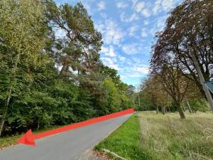 Prodej pozemku pro bydlení, Luštěnice, 9368 m2