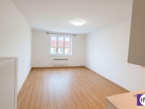 Pronájem bytu 1+kk, Praha, Holandská, 30 m2
