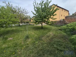 Prodej obchodního prostoru, Horní Věstonice, Lípová, 135 m2