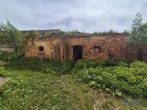 Prodej obchodního prostoru, Horní Věstonice, Lípová, 135 m2