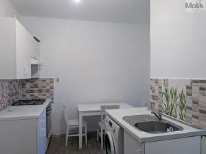 Prodej bytu 2+1, Teplice - Trnovany, Masarykova třída, 49 m2