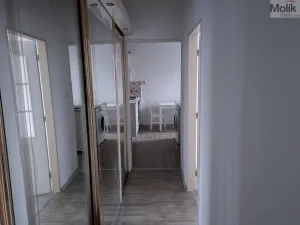 Prodej bytu 2+1, Teplice - Trnovany, Masarykova třída, 49 m2