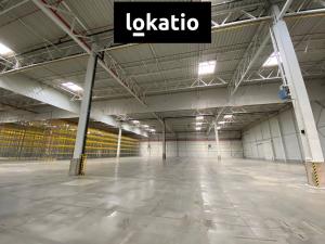 Pronájem výrobních prostor, Modřice, 16895 m2