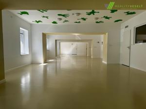 Pronájem kanceláře, Břeclav, třída 1. máje, 240 m2
