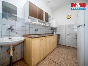 Prodej kanceláře, Oskořínek, Družstevní, 850 m2