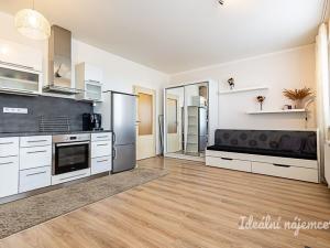 Pronájem bytu 1+kk, Praha - Kyje, Sicherova, 31 m2