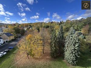 Pronájem bytu 2+1, Chomutov, Václavská, 52 m2