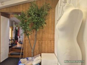 Pronájem skladu, Praha - Letňany, Beranových, 60 m2